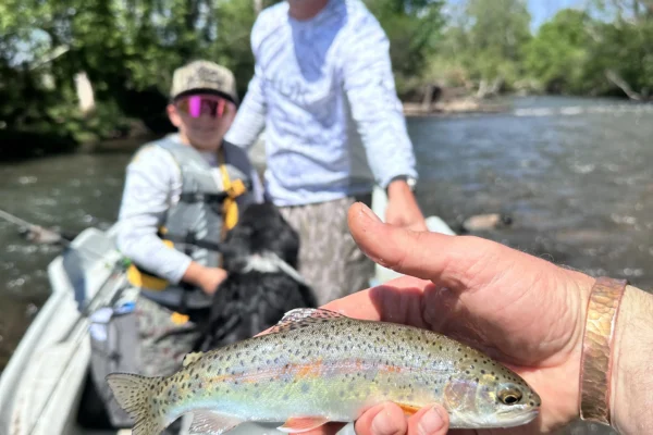 East TN Watauga River float(6)