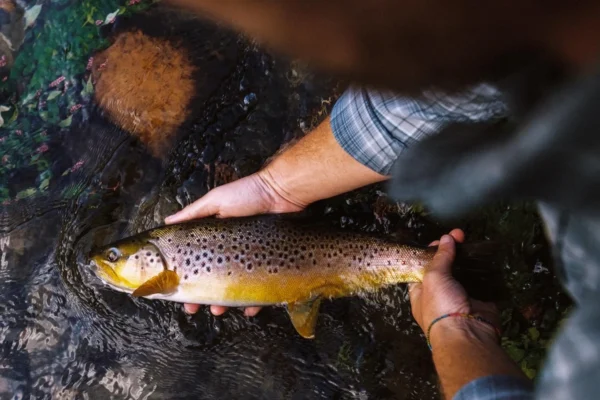 East TN Watauga river float(1)