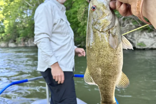 VA small mouth_ trout float