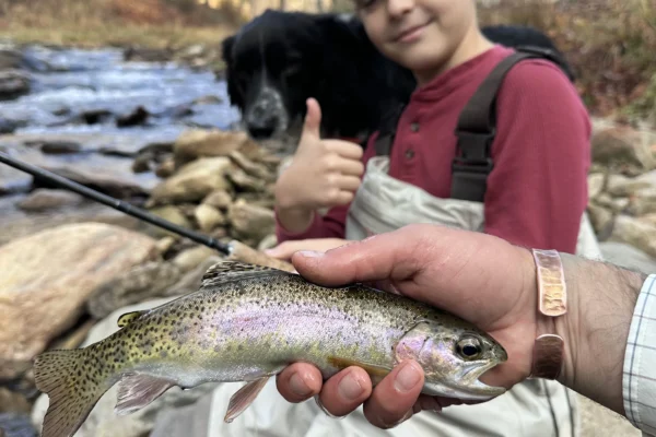 WNC wade