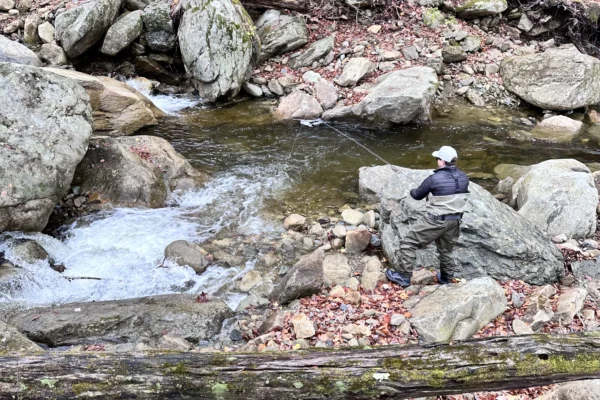 WNC wade(1)