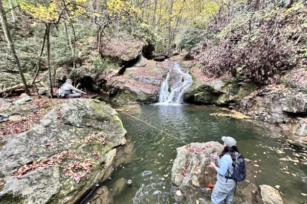WNC wade(5)
