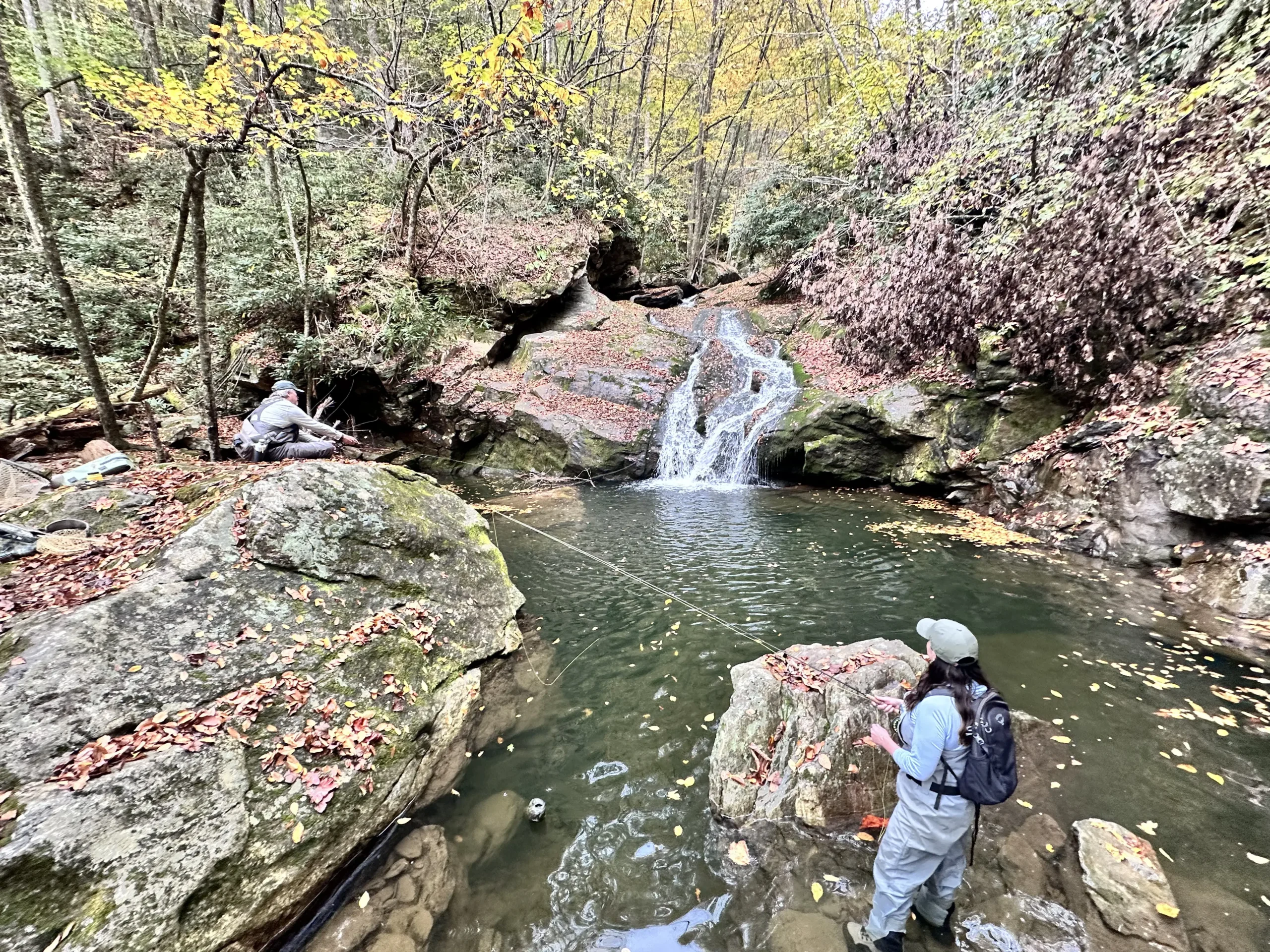 fly fishing guided trips in the north carolina wilderness